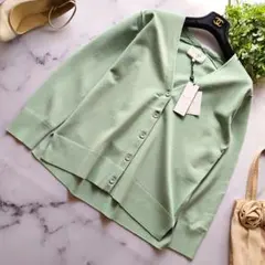 未使用タグ付 2023 定価3.9万 ベイジ HOLLY Vネックカーディガン