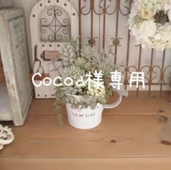 Cocoa様専用☆ 2点