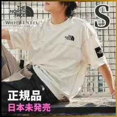 ノースフェイス Tシャツ XL ベージュブラウン 新品 XXL 2XL 韓国