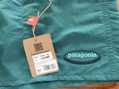 patagonia パタゴニア バギーズ　M 5インチ　‘95オーバルロゴ　緑のサムネイル