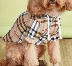 Item thumbnail for item 94cc93bf-289a-4b0f-a7fa-37d89c3419a5