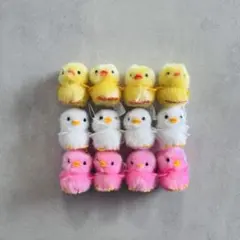 ひよこのおかげ ぴよりーな ノーマル ひよこ 12個