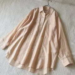 ジャーナルスタンダード　レサージュ　シアーシャイニータンブラーシャツ　ピンク