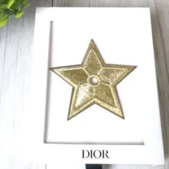 【未使用級】DIOR ノベルティ スター 刺繍 ピンブローチ ゴールド