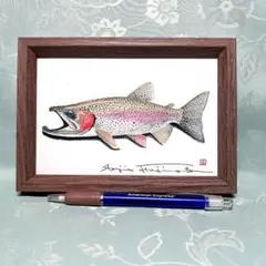 ニジマスの透明水彩画