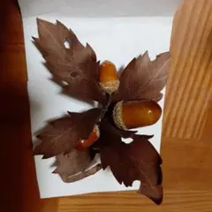 ドングリの手作りコサージュ