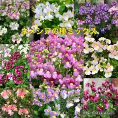 ♡tomato♡様 リクエスト 2点 まとめ商品