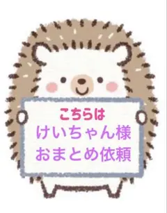 けいちゃん様 リクエスト 2点 まとめ商品