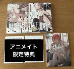 Item thumbnail for item a0ab67ae-7d0f-4f4c-8385-64e07f7e10f0