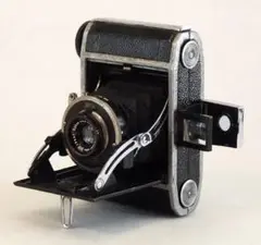 2026年最新】六櫻社 蛇腹カメラの人気アイテム - メルカリ