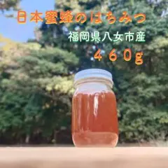日本蜜蜂のはちみつ　百花蜜　ニホンミツバチ　国産　非加熱　無添加　蜂蜜　純枠