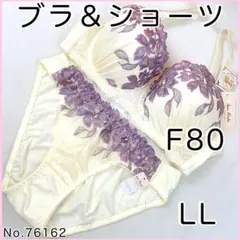 ブラジャーショーツセットF80 No.76162