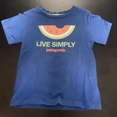 patagonia 青 Tシャツ ウォーターメロンプリント