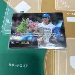 ドリームオーダー　日ハム　強心臓　SP