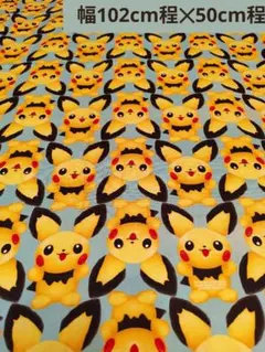 未開封｜ポケモン クリアファイル ピカチュウ イーブイ メタモン 