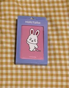 SEVENTEEN MINITEEN 네임 태그 이스쿠프스