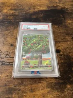 カジッチュ PSA10 ポケモンカードゲーム