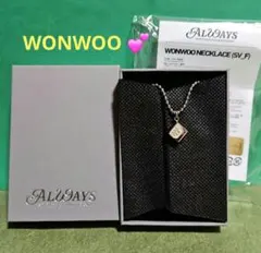 レア♥️SEVENTEEN♥️ウォヌ・WONWOO