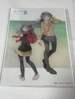 美品 江ノ島×青春ブタ野郎はランドセルガールの夢を見ない コラボ切符