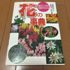 花の事典 知りたい花の名前がわかる