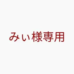 みぃ様 リクエスト 2点 まとめ商品