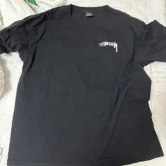 Stussy スパイダーグラフィック Tシャツ 黒