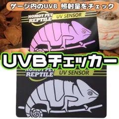 Item thumbnail for item 872fd586-8ab5-48c9-b99d-141a7706a2dd