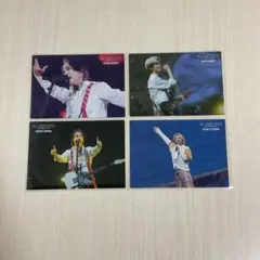 The White Lounge フォトカ　バラ売り m49498789205_1.jpg?1717937574