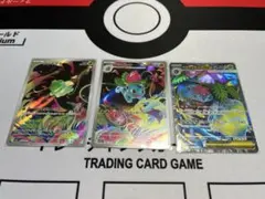 フシギダネar フシギソウar フシギバナex sr まとめ売り