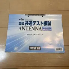 新品未使用】ANTENNA付河合塾2025年度第1回全統記述模試(解答解説