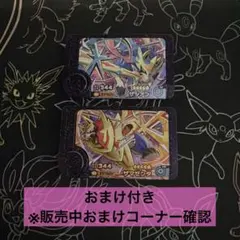 ［味方を盾る！！相手をkill！！］【ザシアン・ザマゼンタ】　ポケモンフレンダ