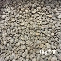 スペシャルティコーヒー生豆　ブラジル　ラゴア農園　1kg ブルボン　カツアイのサムネイル