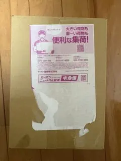 ポケセン産　ハイクラスパックMEGAドリームex