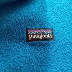 Patagoniaのフリースパーカー
