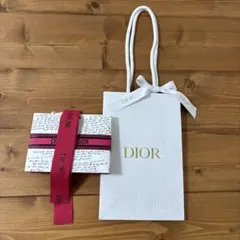 DIOR ディオール　ショッパー　袋