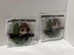 Item thumbnail for item 52e02cf9-28aa-4c0c-9040-2e291c320164