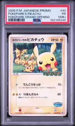 PSA8 ピカチュウ 旧裏 クイックスターターギフト ライトニング