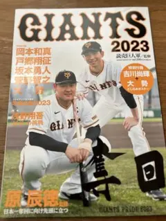 Item thumbnail for item 75c3f62a-de02-4490-b431-cfb417eb342e