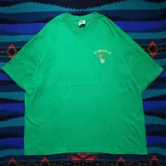 90s　ヘインズ　シングルステッチ　刺繍　半袖Tシャツ　バスケットボール　XXL
