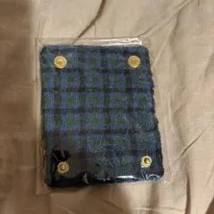 Item thumbnail for item 2f7c7f4f-087e-4ccf-a0b6-052f8db8507a