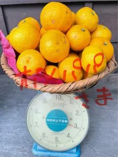 ポメパパ様　ご専用　柚子3キロ