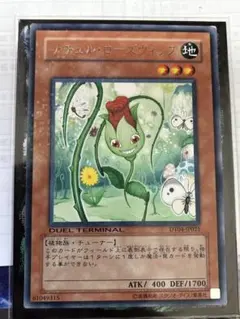 2026年最新】ナチュルローズウィップの人気アイテム - メルカリ