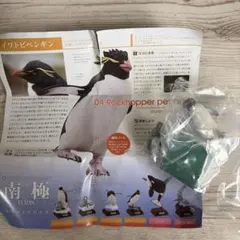 イワトビペンギン フィギュア 南極特装版
