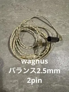 WAGNUS NEUTRON 最終値下げ 2025年最新】Wagnusの人気アイテム - メルカリ