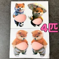 4匹セット 立体お腹ぷにぷに 柴犬シール おなかぷにぷに