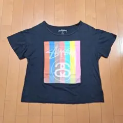 希少 STUSSY ステューシー Tシャツ シャネルロゴ made in USAのサムネイル