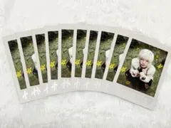 &TEAM HARUA BtL miniver. インスタント風10枚セット