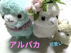 アルパカぬいぐるみセット 大小３体セット