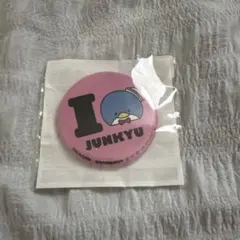 TREASURE ジュンギュ 缶バッチ はぴたんぶい カプセルトイ