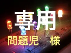 問題児　様専用出品